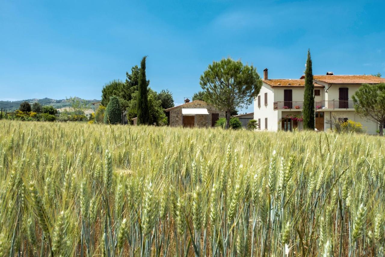 Agriturismo San Marcello Castiglione dʼOrcia المظهر الخارجي الصورة