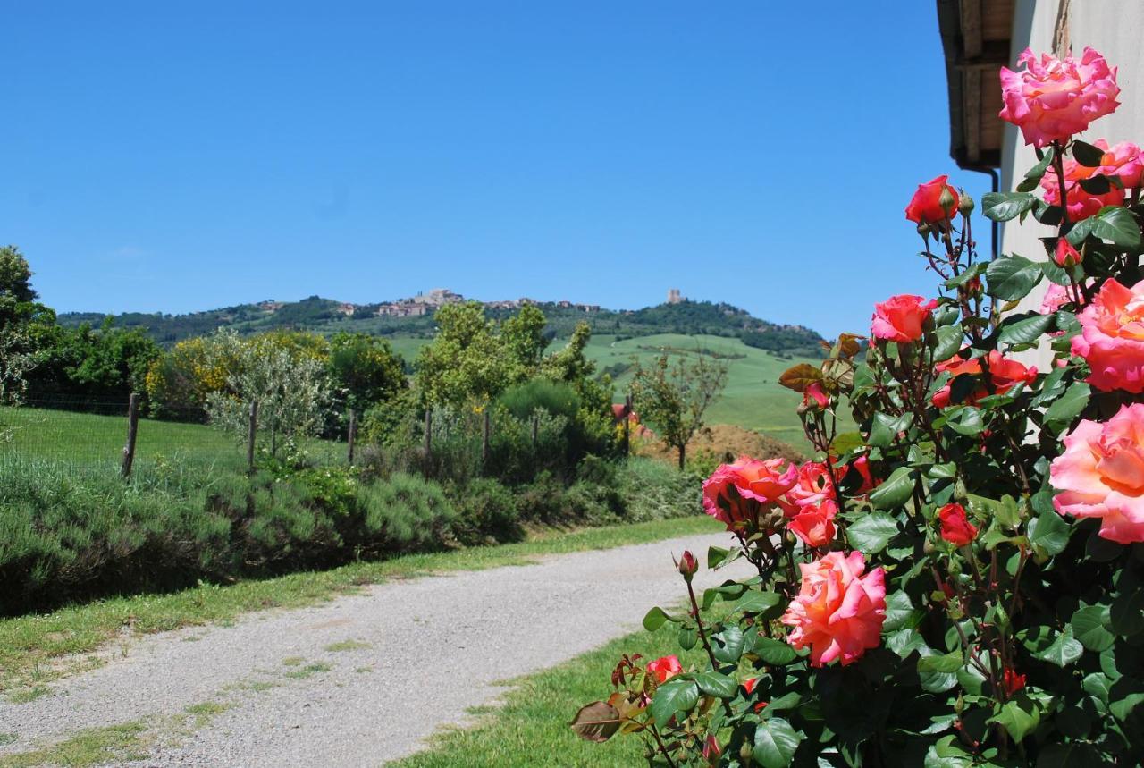 Agriturismo San Marcello Castiglione dʼOrcia المظهر الخارجي الصورة